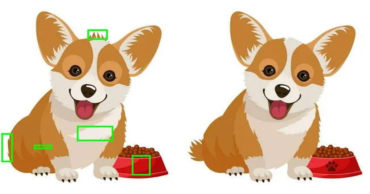 Corgi rozdíly řešení